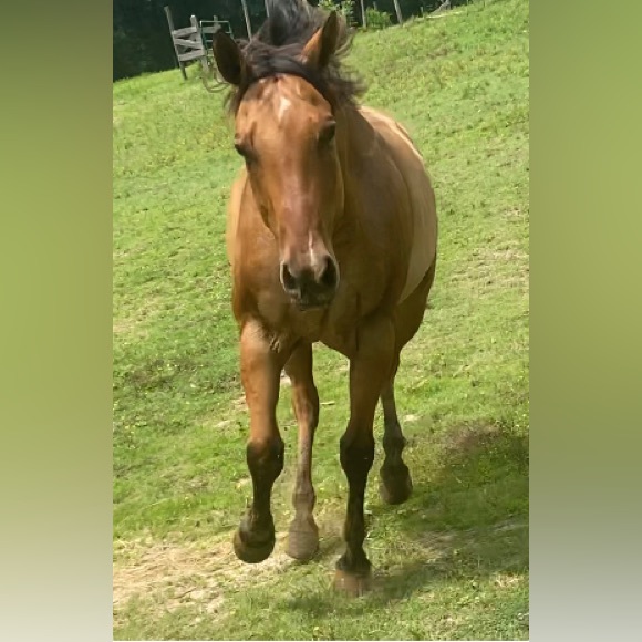 Meet your Posher, Heather - Picture 2 of 4